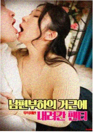 字幕组的深夜会议节目条目配图,深夜会议桌上的稿件